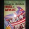 BANTAS, CLONTEA, BRINZEU - MANUAL DE LITERATURA ENGLEZA SI AMERICANA
