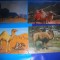 HOPCT LOT NR 418 CAMILA/CAMILE-FAUNA -4 CARTI POSTALE-CIRCULATE