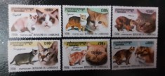 Cambodgia-Fauna,pisici domestice-serie completa nestampilate MNH (C1)