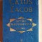 Opera matematica vol.1- Caius Iacob