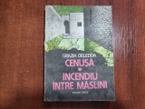 Cenusa.Incendiu intre maslini de Grazia Deledda