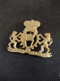 Insigna militară /pin pentru beretă