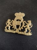 Cumpara ieftin Insigna militară /pin pentru beretă, Europa