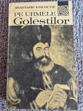 PE URMELE GOLESTILOR - ANASTASIE IORDACHE, 1982, 292 pagini, stare buna