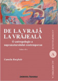 De la vraja la vrajeala - Camelia Burghele - Institutul European