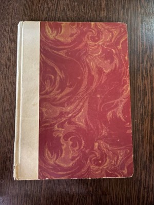 G. Rodenbach In exil - roman - foto