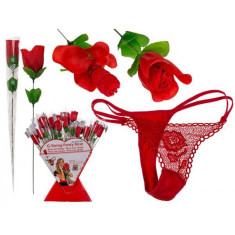 Rose with red G-string - Trandafir ce Ascunde o Pereche de Bikini Roșii