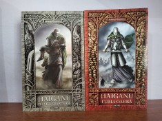 Marian Coman - Haiganu. Fluviul soaptelor si Furia oarba (fantasy)