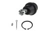 Rotula brat suspensie Toyota Land Cruiser 150 2009-, Fj Cruiser Gsj10, 15 2006-, 4-Runner N28 2009-, Lexus Gx400, 460 2009-, Fata, Inferior, NTY ZSD-