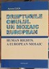 Drepturile Omului. Un Mozaic European - Aurora Ciuca, Editura Pim, 2010, 266 pagini