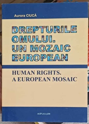 DREPTURILE OMULUI. UN MOZAIC EUROPEAN-AURORA CIUCA-248668 foto