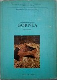 Gornea. Preistorie - Gheorghe Lazarovici. Carte de istorie