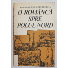 O ROMANCA SPRE POLUL NORD de PETRE GHEORGHE BIRLEA , PE URMELE SMARANDEI GHEORGHIU , 1988