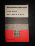 Virgil Ierunca - Fenomenul Pitesti