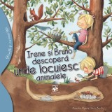 Cumpara ieftin Irene si Bruno descopera unde locuiesc animalele | Alejandro Algarra, ARC