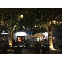 Ghirlanda Luminoasa de Exterior, lungime 40m, cu 1Bec/m, Glob Opac