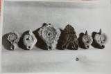 Fotografie, 6 candele (lucerne), gasite la Apulum, datate sec.II-III