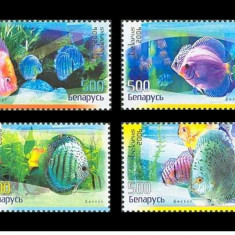 BELARUS 2006-PESTI DE ACVARIU-Serie de 4 timbre nestampilate MNH