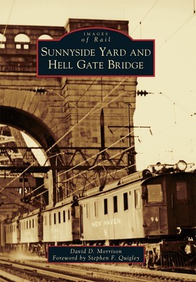 Sunnyside Yard and Hell Gate Bridge foto