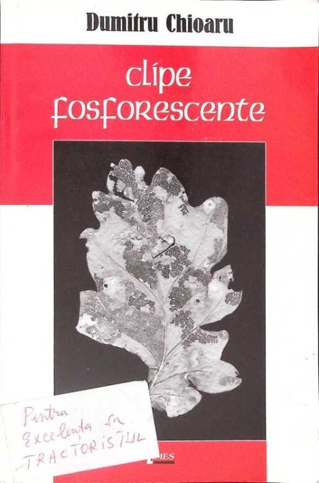 CLIPE FOSFORESCENTE-DUMITRU CHIOARU-265288