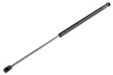 Amortizor portbagaj , L=555mm, F=305n, Citroen C1, 2005-, NTY AE-CT-012