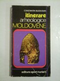 Itinerare arheologice moldovene - Constantin Buzdugan