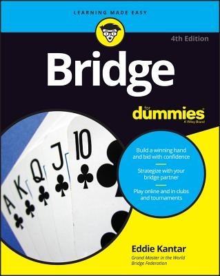 Bridge for Dummies foto