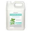 Diamex Cleaner Salon Mentos, detergent profesional curățare podele, 5L, parfum mentă, uz veterinar