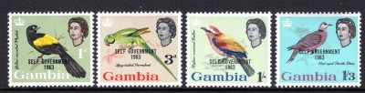 Gambia, pasari, supratipar, 1963, MNH foto