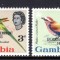 Gambia, pasari, supratipar, 1963, MNH