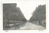 2469 - FOCSANI, Garii Ave. Romania - old postcard, CENSOR - used - 1917, Circulata, Printata