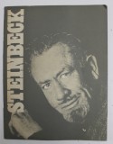 STEINBECK - 1973, REZUMATUL OPEREI SI VIETII