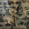 Failed Images: Photography and Its Counter-Practices