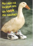 bnk cp Felicitare - Nu-i asa ca incaltat am un look de neuitat ? - gasca