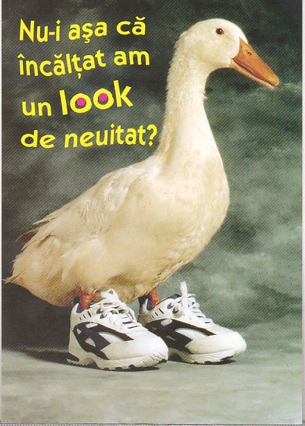 bnk cp Felicitare - Nu-i asa ca incaltat am un look de neuitat ? - gasca