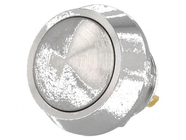 Comutator anti-vandalism Poz 2 SPST-NO 2A/36VDC IP65 1,5kV
