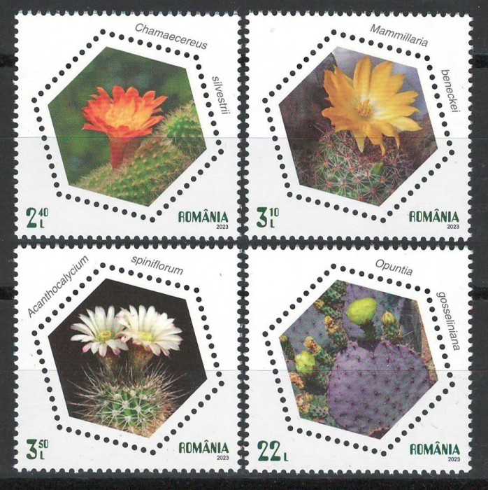 Romania 2023 LP 2438 Cactusi