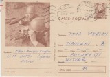 D11 - CPR - Carte postala tematica militara 5 - circulata la 1974