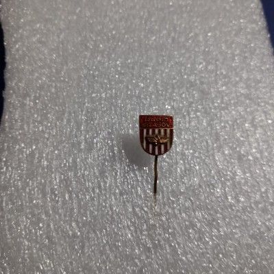 insigna Rapid Brasov foto