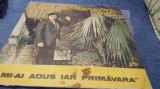 DISC VINIL ALEXANDRU JULA--MI-AI ADUS IAR PRIMAVARA EDE 02942 -DISC STARE BUNA CHIAR FOARTE BUNA