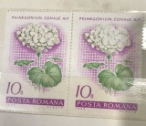 (F) Timbre Serii Romania Floraq bloc 2 Nestampilate