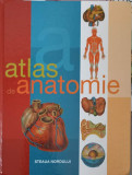 ATLAS DE ANATOMIE-DAN CRACIUN