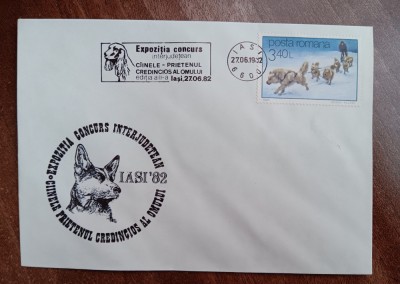 D11 - 1982 - tematica natura - cainele prietenul omului - Romania foto