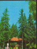 CPI B13038 CARTE POSTALA - CABANA HOMOROD