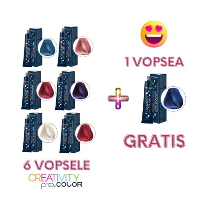 Set 6 vopsele CREATIVITY + 1 GRATIS (set complet gama Creativity) foto