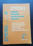 ENERG 13: Energie. Eficiență. Restructurare. Gestiune: Finanțarea proiectelor energetice * Avarii &icirc;n sistemul energetic SUA... - Suzzane G. Smith