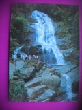 HOPCT 7309 CASCADA FLORESTA DA TIJUCA -RIO DE JANEIRO -BRAZILIA -AMERICA DE SUD -NECIRCULATA
