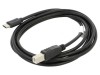 Cablu USB 2.0 1,8m USB B la USB C aurit negru, Lanberg