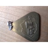 Industrie (1) Insigna Roman