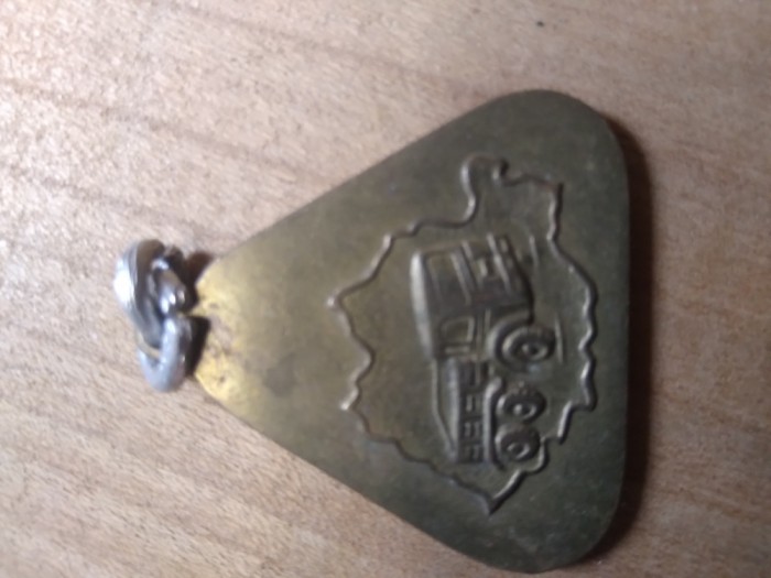 Industrie (1) Insigna Roman